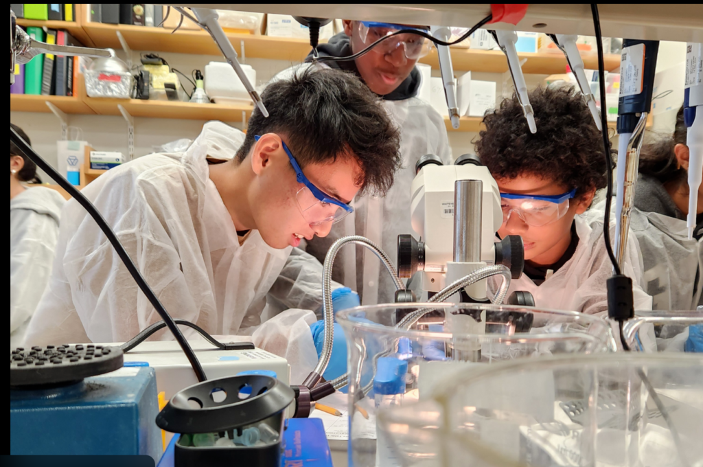 screenshot 2026 02 14 211547