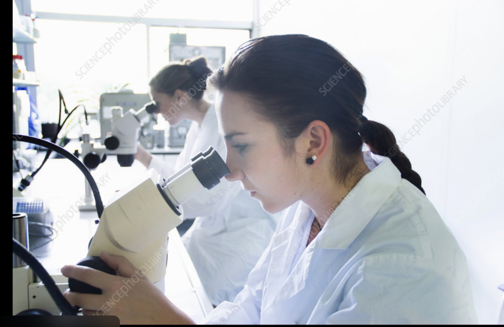 screenshot 2026 02 14 211609